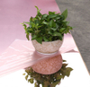 Acrylic Mirror Sheet Laser Cutting PS Mirror Organic Glass Lens Adhesive Back Custom Shape Mirror Acrylic